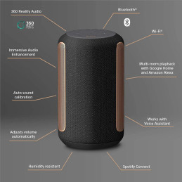Sony SRS-RA3000 Bluetooth