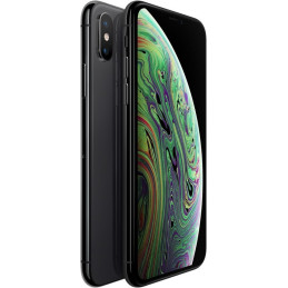 Apple iPhone XS 64Go, Space...